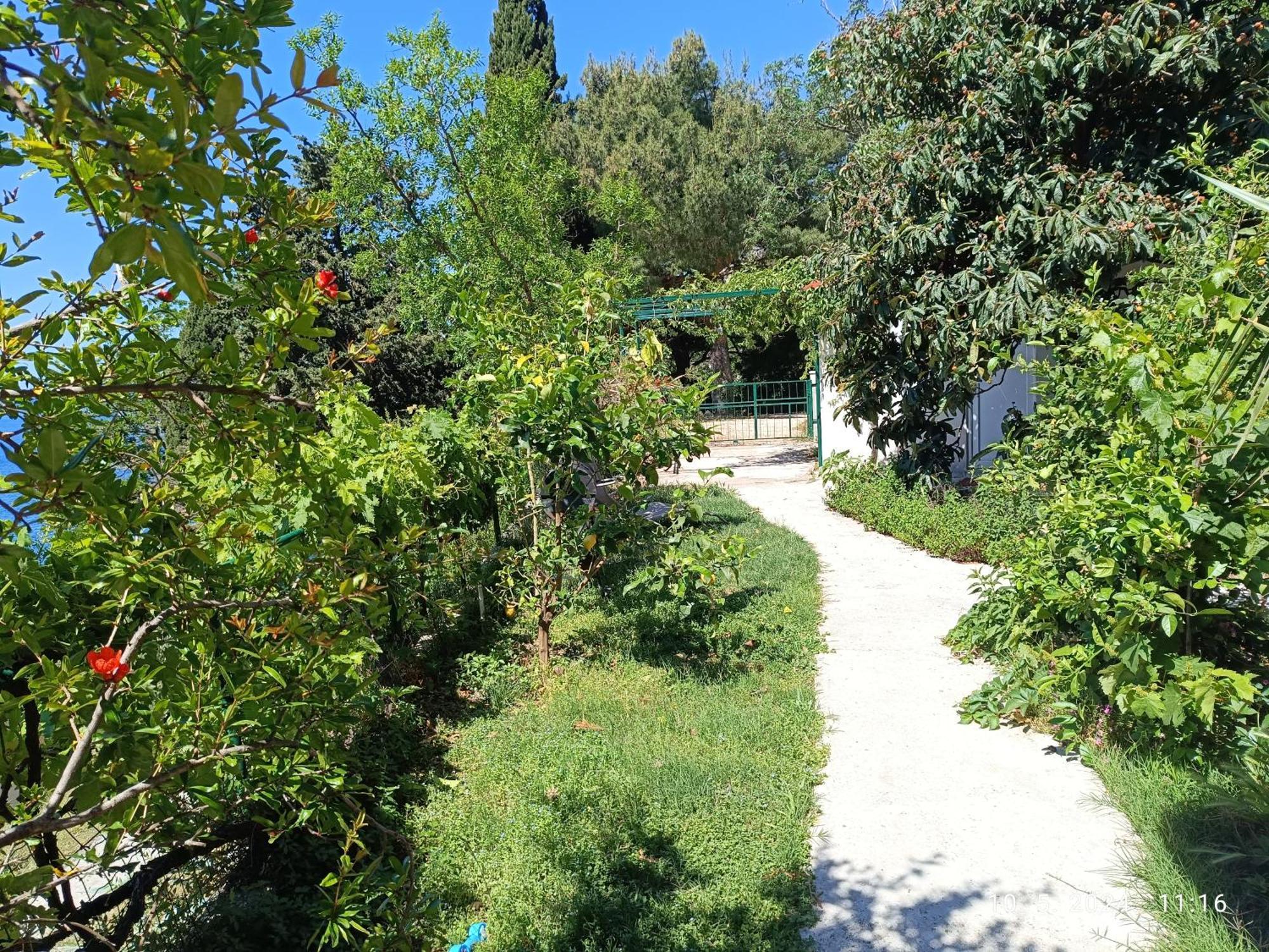 Appartamento Leonica Omiš Esterno foto
