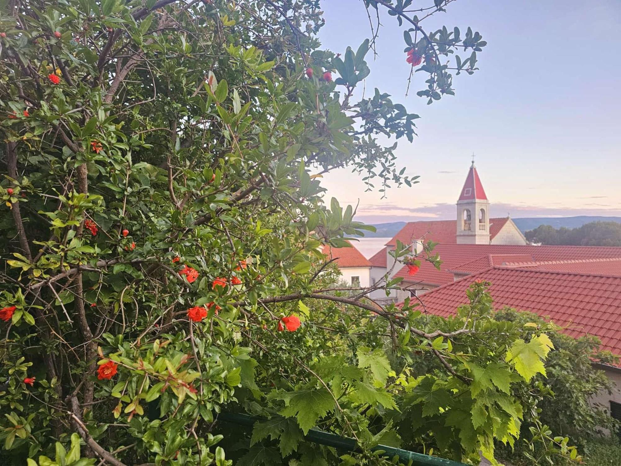 Appartamento Leonica Omiš Esterno foto